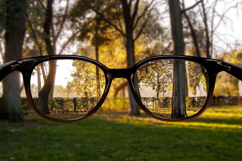 Clear vision forest